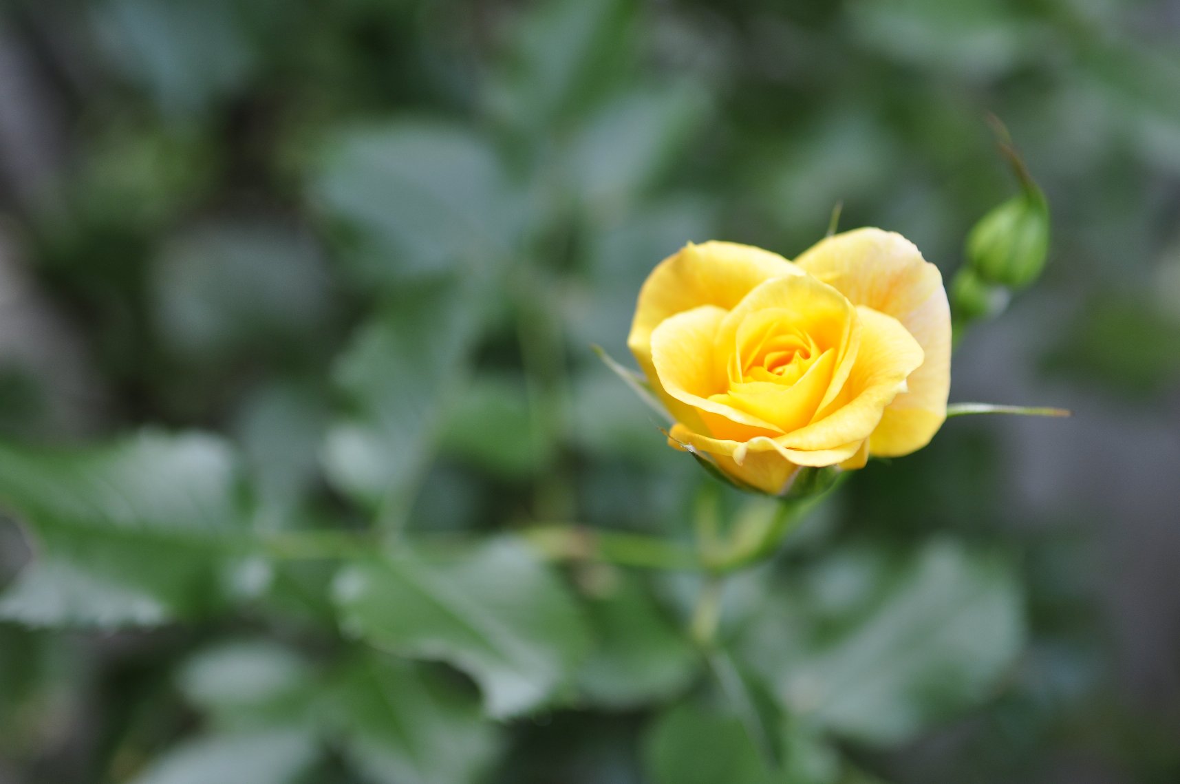 f0236843_892077.jpg