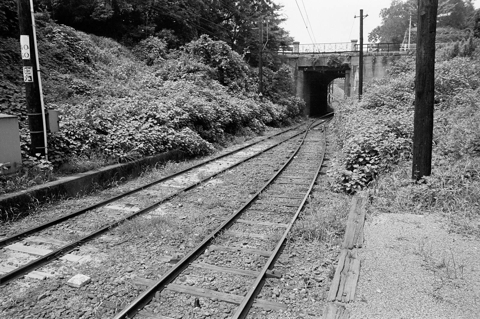 c0171945_01743100.jpg