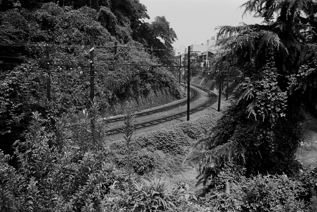 c0171945_2281380.jpg