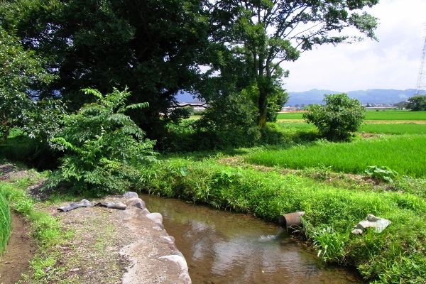c0067646_1341626.jpg