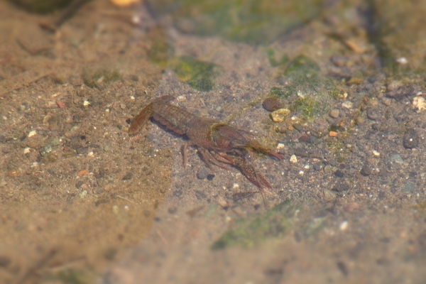 c0067646_135869.jpg