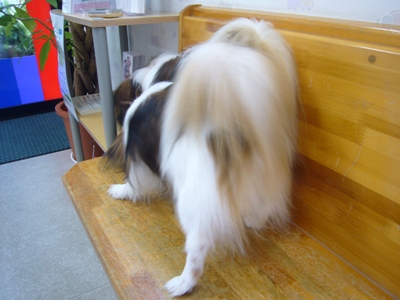e0100046_21333439.jpg