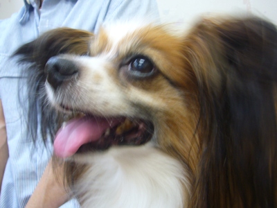 e0100046_21344514.jpg