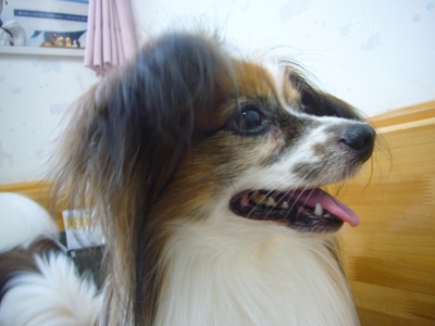 e0100046_21355625.jpg