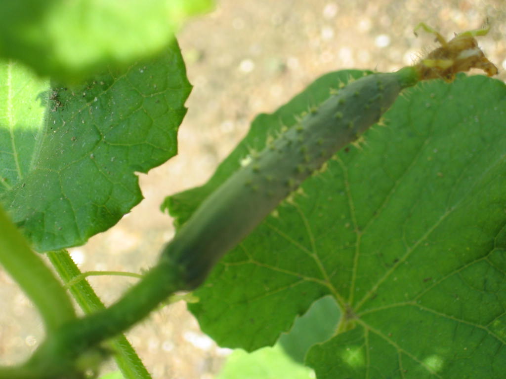 c0034848_16592938.jpg