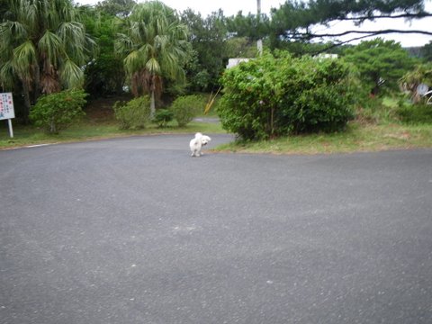 f0046250_13271282.jpg