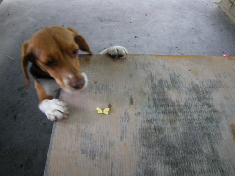 f0046250_1329539.jpg