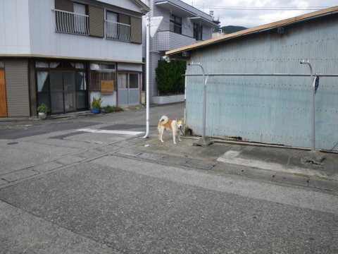 f0046250_13385658.jpg