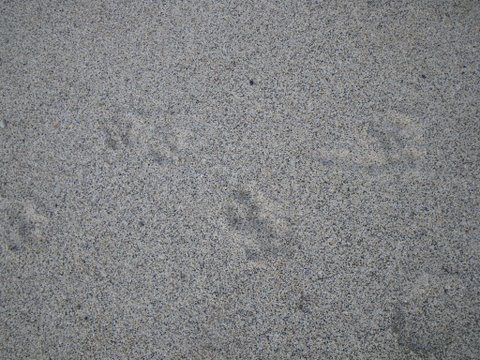 f0046250_17273223.jpg