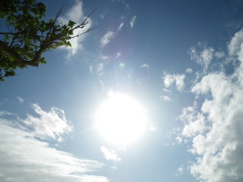 f0046250_17281294.jpg