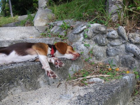 f0046250_1730169.jpg