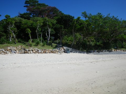 f0046250_17305855.jpg