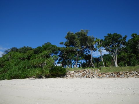 f0046250_17311425.jpg