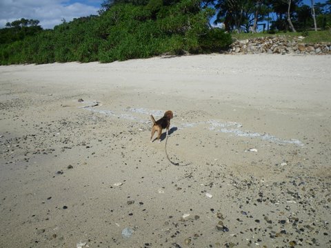 f0046250_17322318.jpg