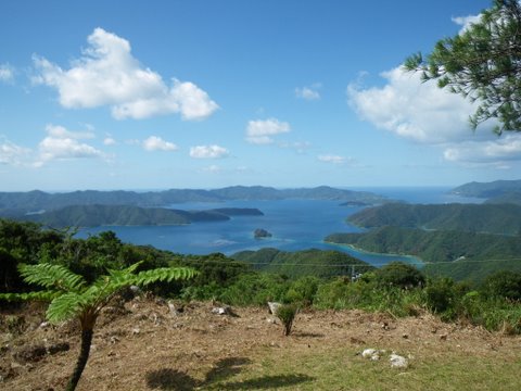 f0046250_22275757.jpg