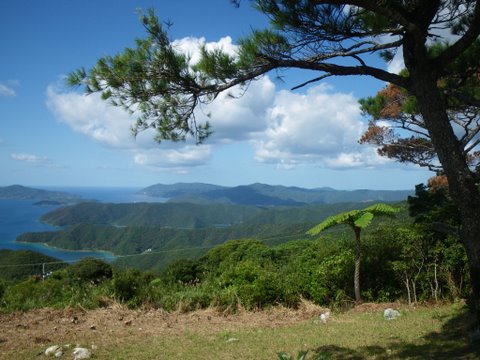 f0046250_22281061.jpg