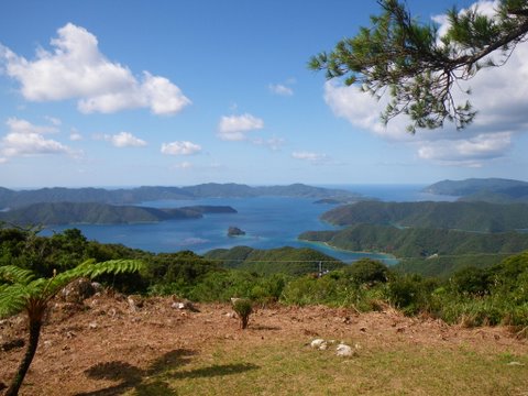 f0046250_22282283.jpg