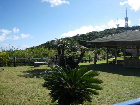 f0046250_2249472.jpg