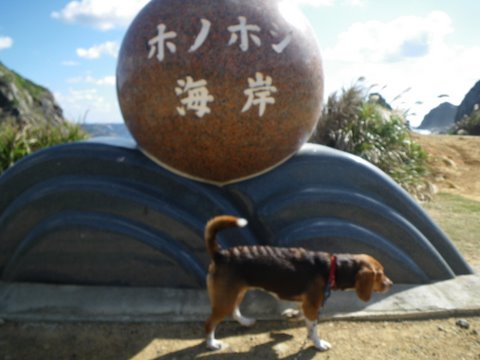 f0046250_2292491.jpg