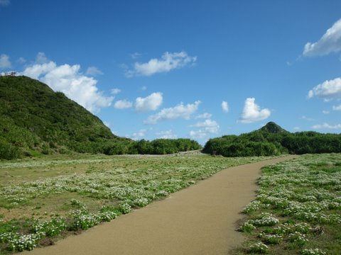 f0046250_2295650.jpg