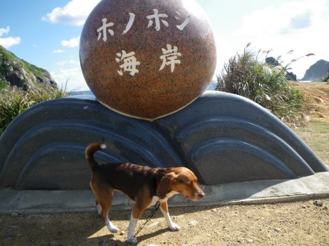 f0046250_229927.jpg