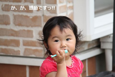 a0090451_00224.jpg