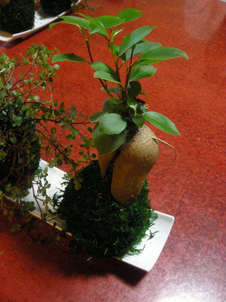 a0140151_12402552.jpg