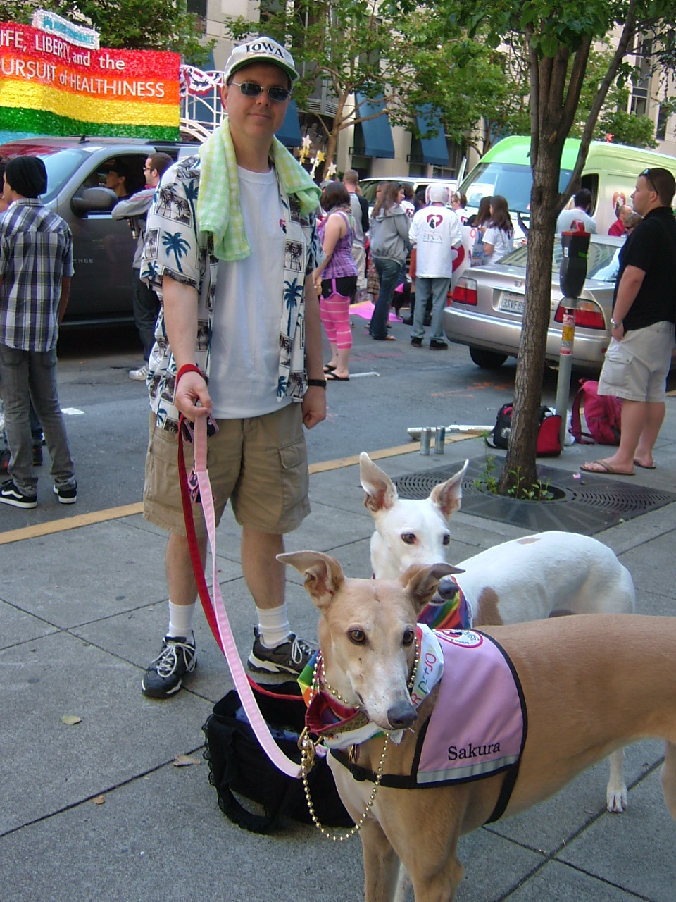 c0078451_1034130.jpg
