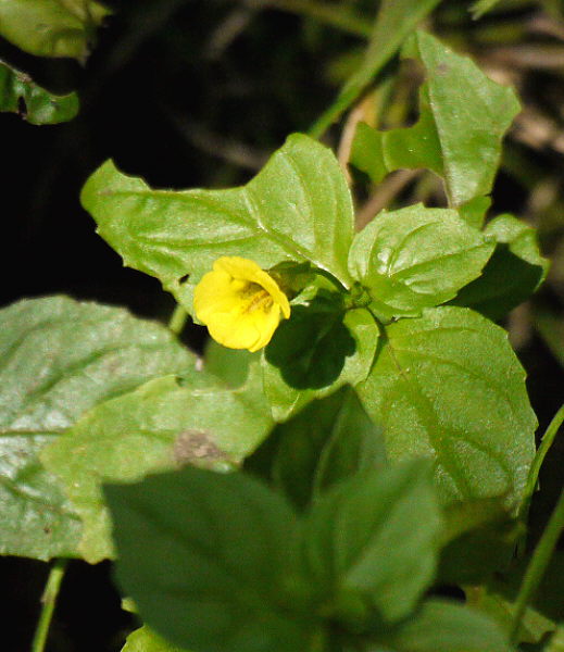 d0091754_1833082.jpg