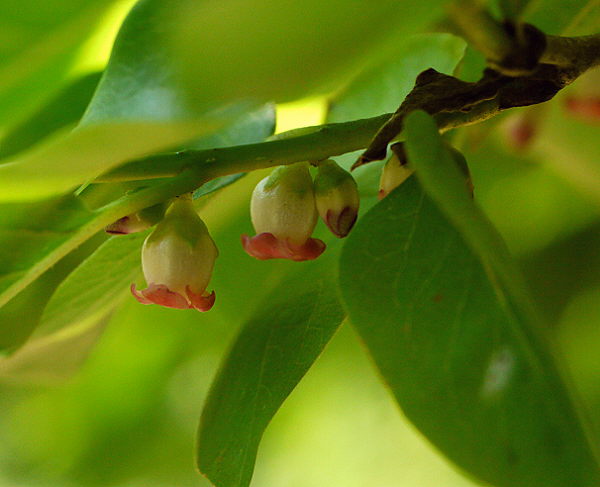 d0091754_18433493.jpg