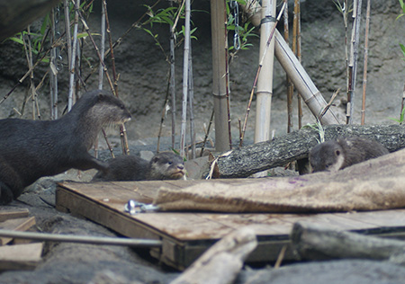 a0039366_0271578.jpg