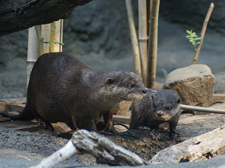 a0039366_0272646.jpg