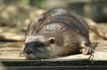 a0039366_0291745.jpg