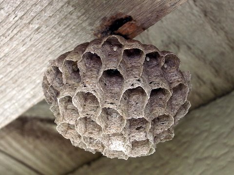 b0130166_21394671.jpg