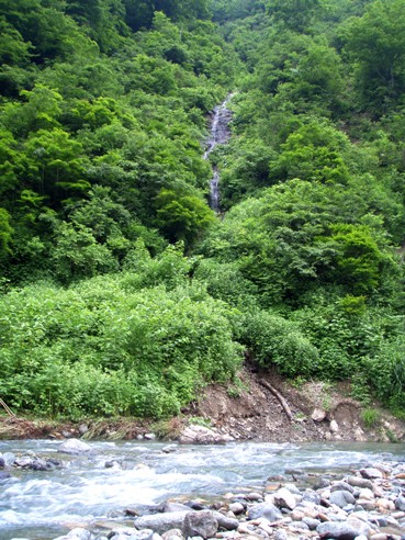 d0128167_21284255.jpg
