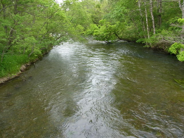 e0187567_9303771.jpg