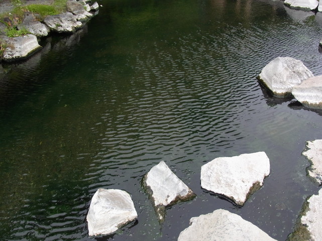 e0187567_931181.jpg