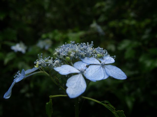 c0042869_2074644.jpg
