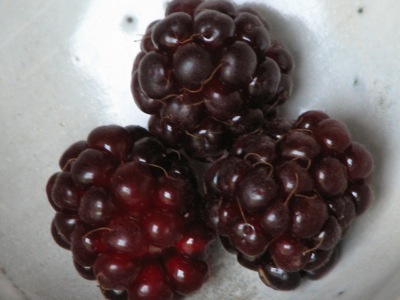 d0050472_15494950.jpg