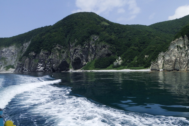 c0183777_81077.jpg