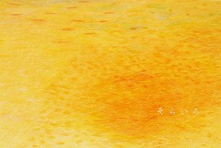e0045977_20573462.jpg