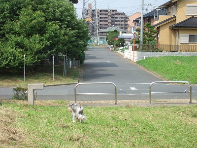 b0143879_12393817.jpg