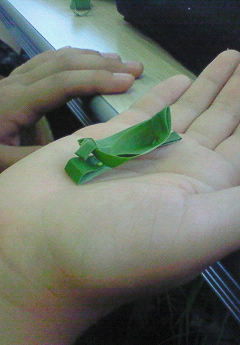 f0215179_20261834.jpg