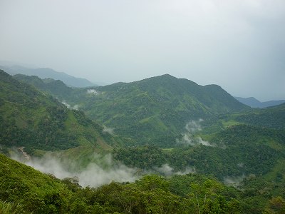 e0150782_14749100.jpg