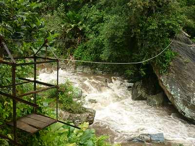 e0150782_2365475.jpg