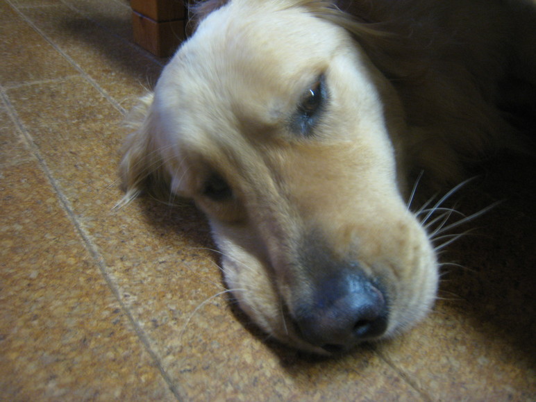 d0065484_003793.jpg