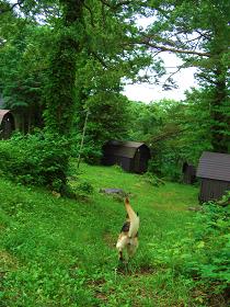 e0100584_2350405.jpg