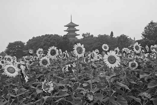 e0190885_18115192.jpg