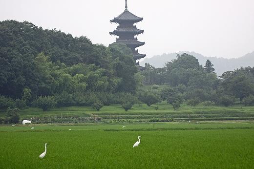 e0190885_18124310.jpg