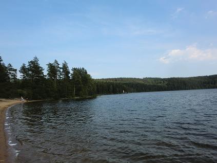 a0066586_4561229.jpg